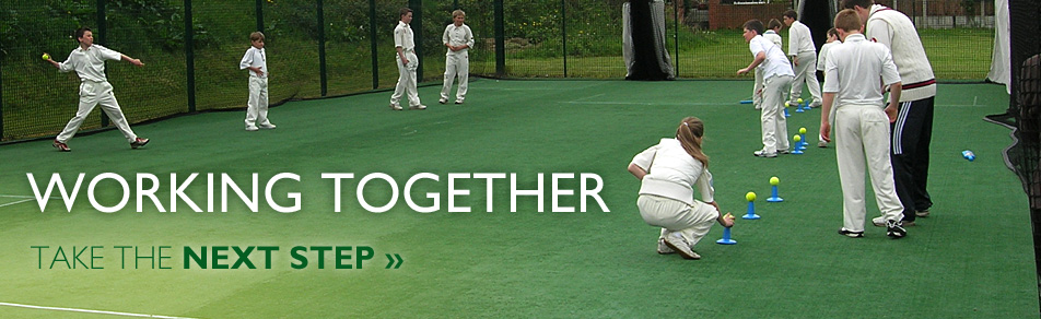 Cricket Working Together