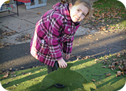 Play Surfaces