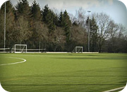 Synthetic Sports Surfaces