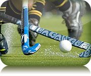 Synthetic Sports Surfaces